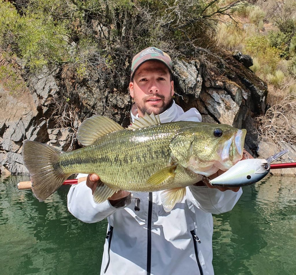 Deep Crankbait: The black bass lure for deep waters