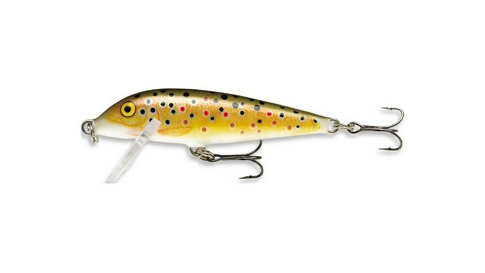 Rapala Countdown: A sure bet