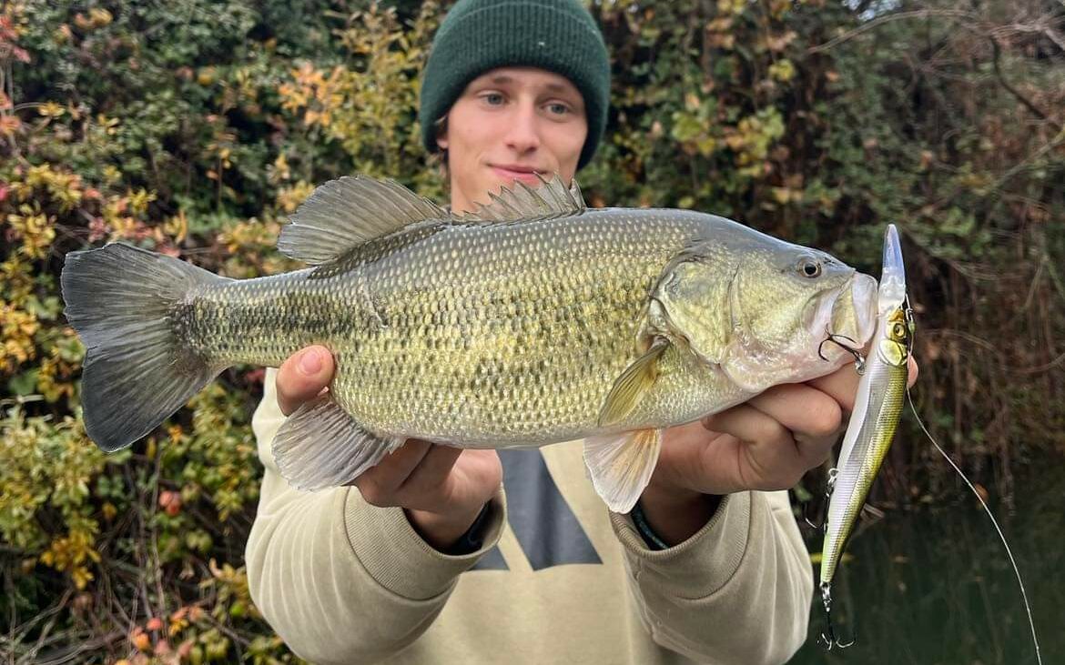 Anders et son black-bass au jerkbait minnow vision one ten megabass