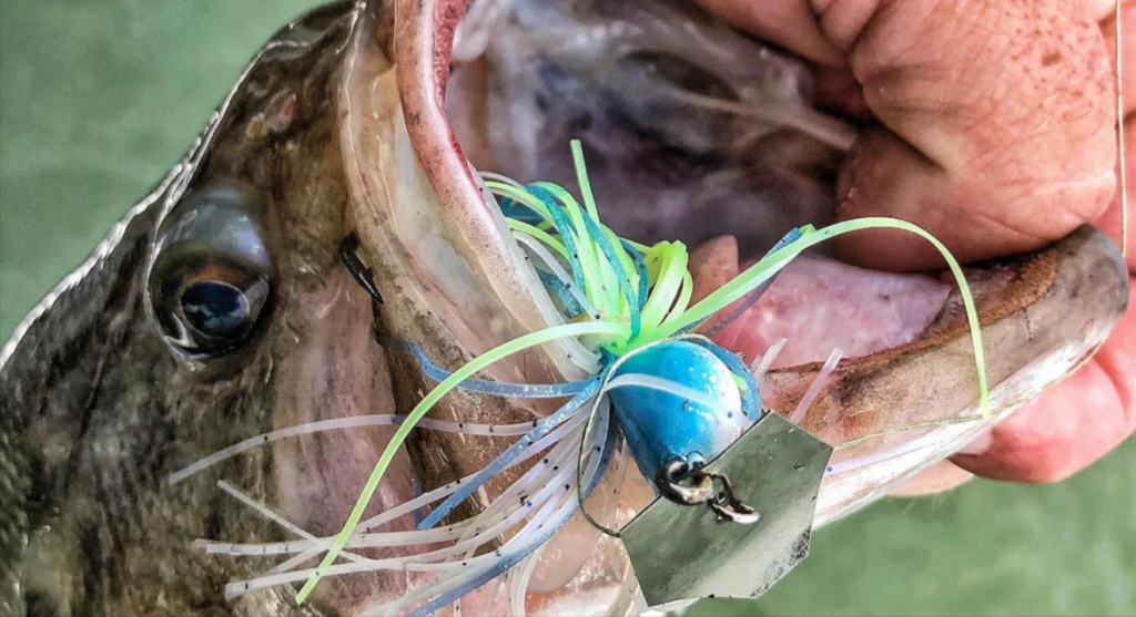 Chatterbait fishing