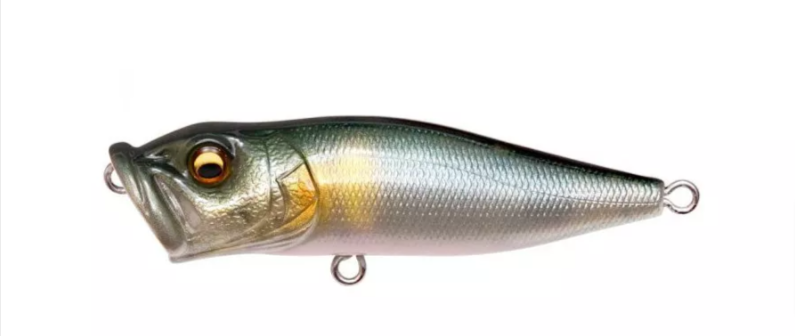 Megabass Pop-X: The benchmark popper for perch