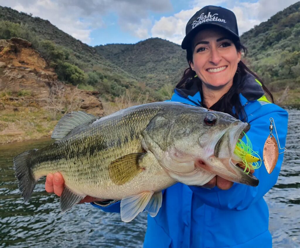 Quel matériel pour pêcher au spinnerbait ?