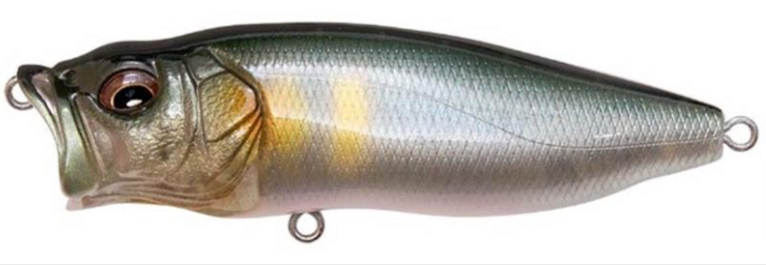 Megabass Pop Max: A popper not to be overlooked on pike