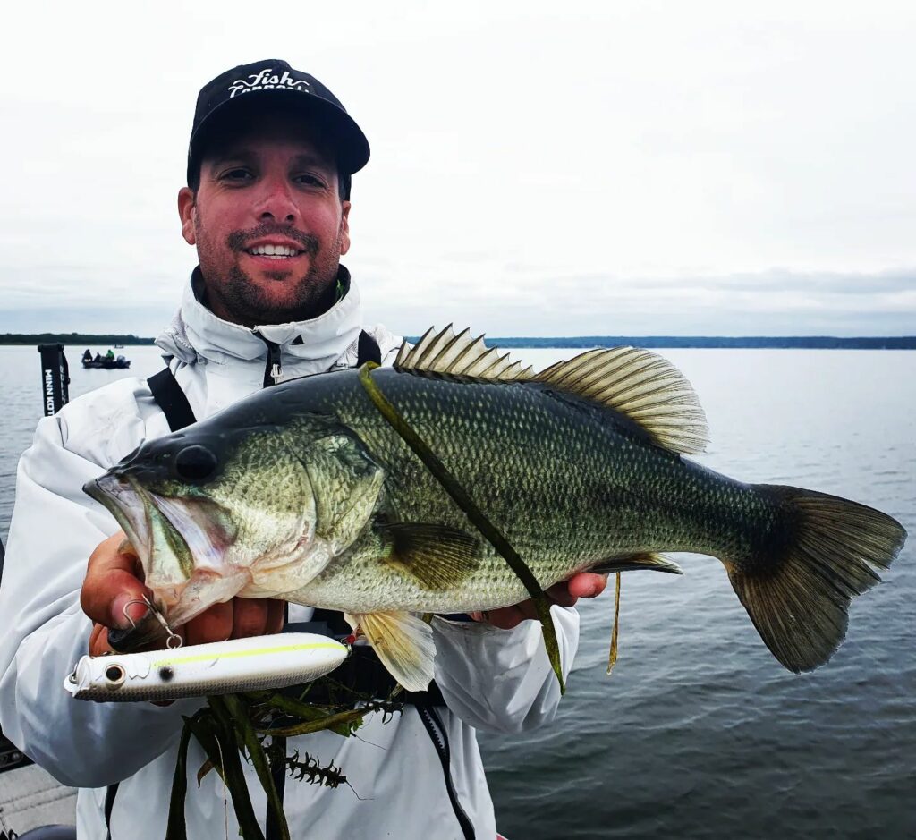 Stickbait: The leading surface lure in the category