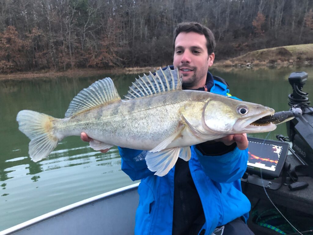 finesse pike-perch lure