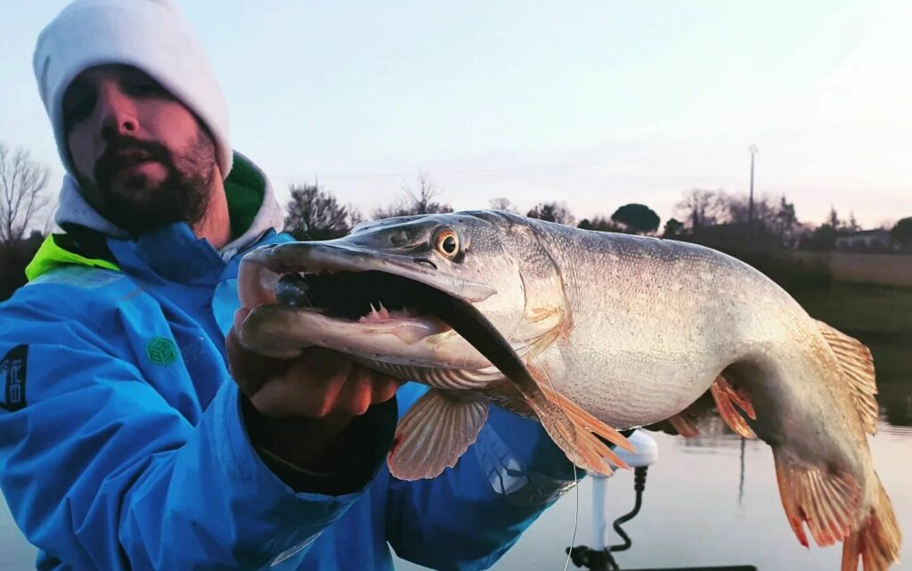 Pike fishing in winter