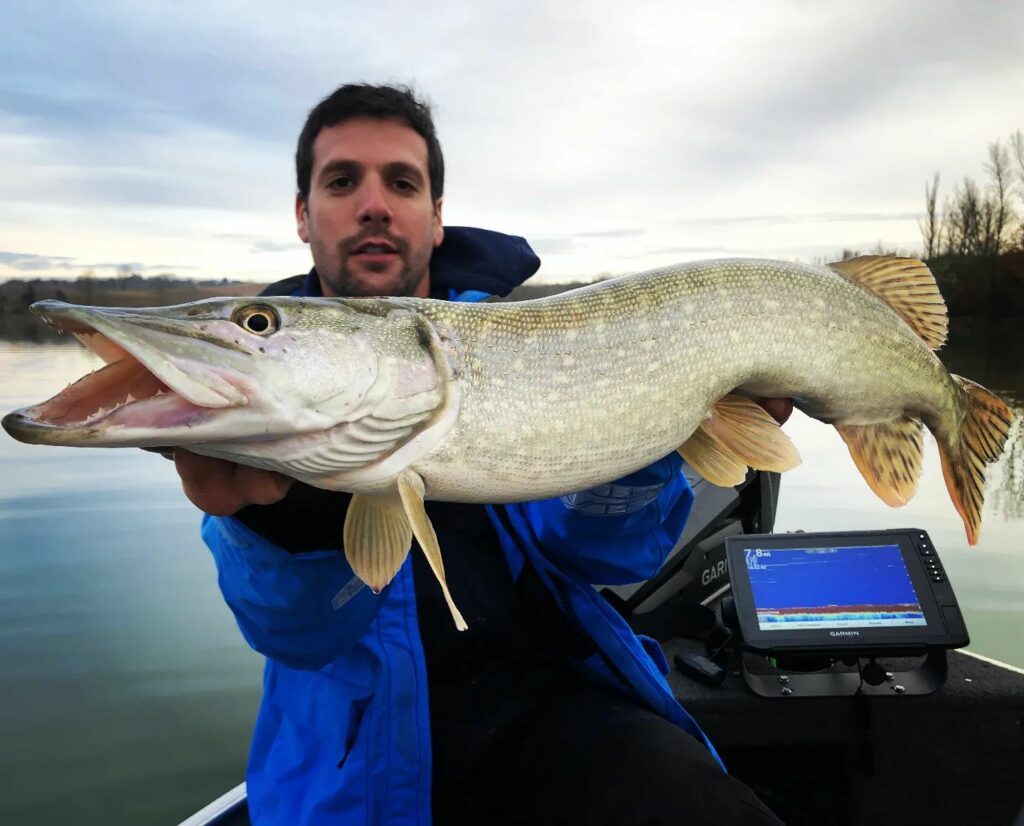 Understanding the behaviour of pike in winter