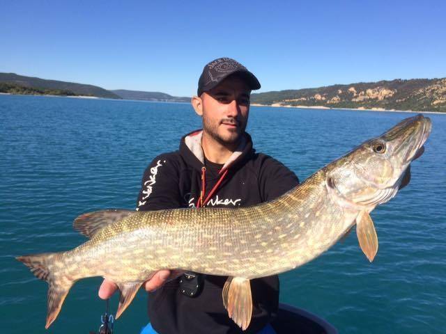 Pêche des carnassiers dans le Verdon