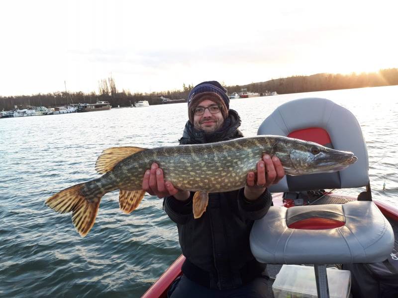 Pêche des carnassiers dans les Yvelines