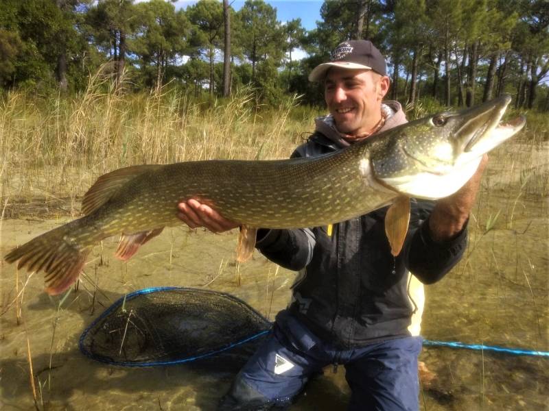 Pêche des carnassiers sur le lac de Carcans-Hourtin