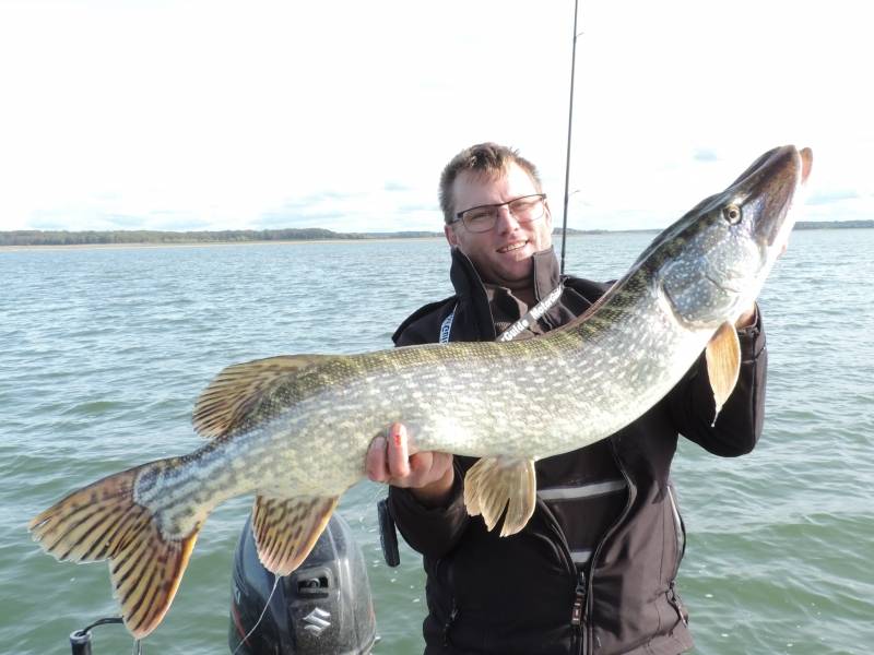 Pêche des carnassiers sur le lac du Der