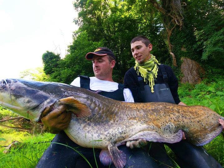 Pêche du silure dans l'Indre