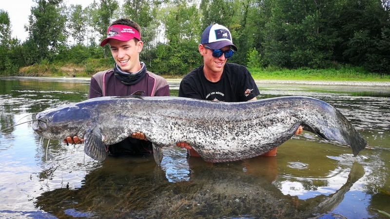 Pêche du silure sur le Lot