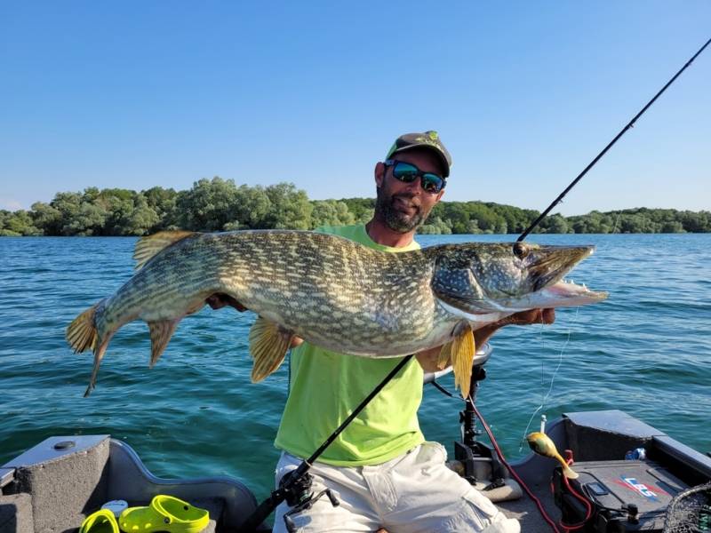 Stage de pêche au brochet et à la perche en bateau sur le Lac du Der avec vincent de bruyne guide de pêche